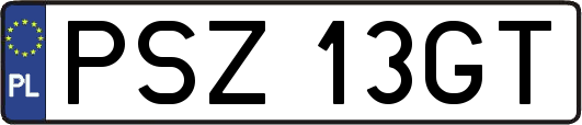 PSZ13GT