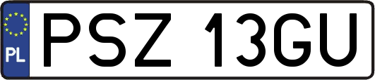 PSZ13GU