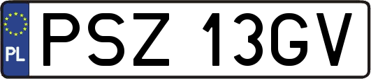 PSZ13GV