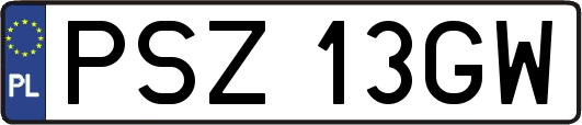 PSZ13GW