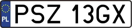 PSZ13GX