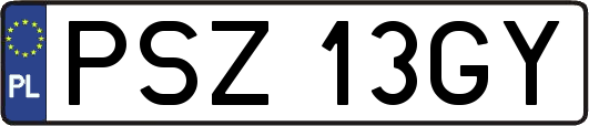 PSZ13GY