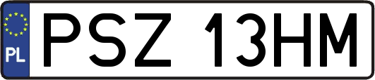 PSZ13HM