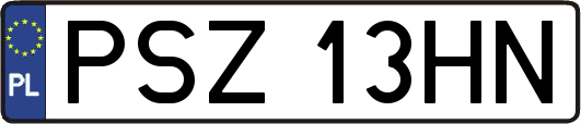 PSZ13HN