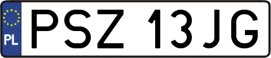 PSZ13JG