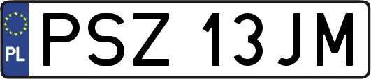 PSZ13JM