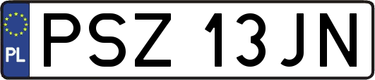 PSZ13JN