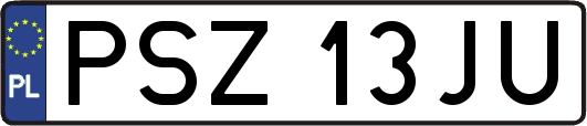 PSZ13JU