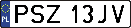 PSZ13JV
