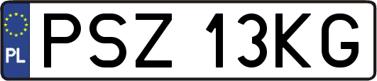 PSZ13KG