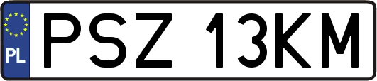 PSZ13KM