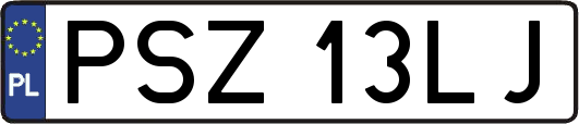 PSZ13LJ
