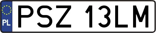 PSZ13LM