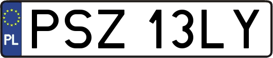 PSZ13LY