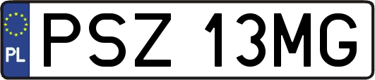 PSZ13MG