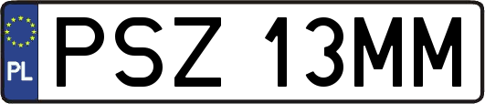 PSZ13MM
