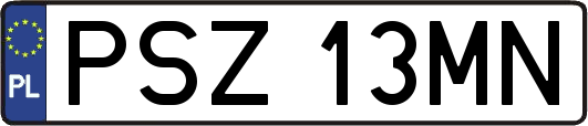 PSZ13MN