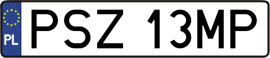 PSZ13MP