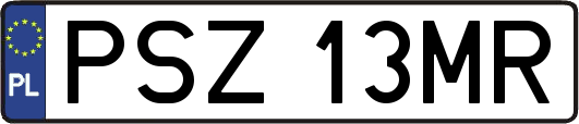 PSZ13MR