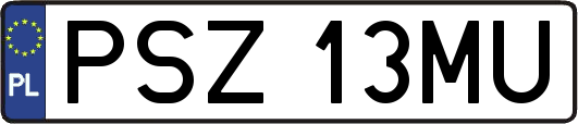 PSZ13MU