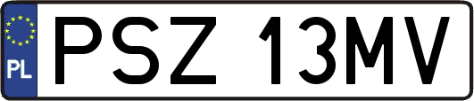 PSZ13MV