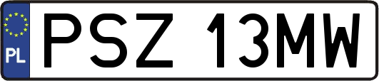 PSZ13MW