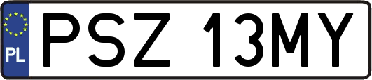 PSZ13MY