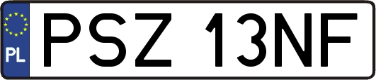 PSZ13NF