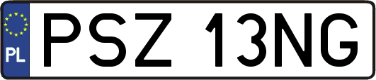 PSZ13NG