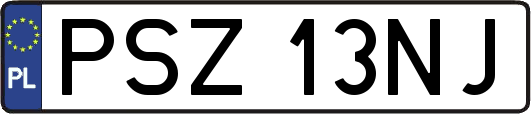PSZ13NJ