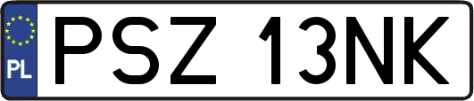 PSZ13NK