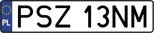 PSZ13NM