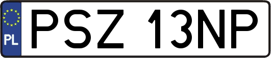 PSZ13NP