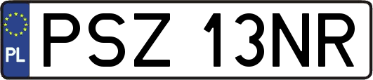 PSZ13NR