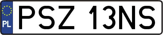 PSZ13NS