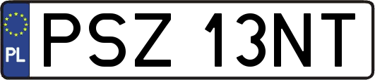 PSZ13NT