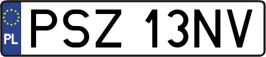 PSZ13NV