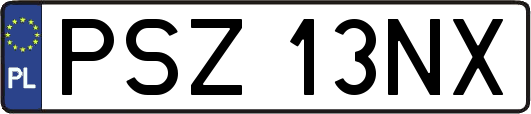 PSZ13NX