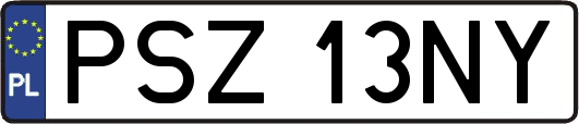 PSZ13NY