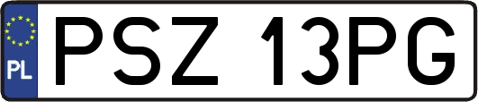 PSZ13PG