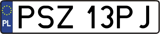 PSZ13PJ