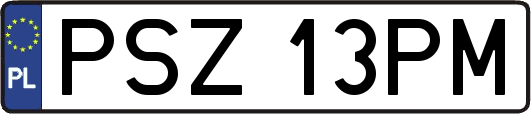 PSZ13PM