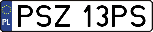 PSZ13PS
