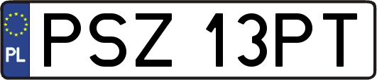 PSZ13PT