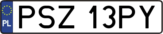 PSZ13PY