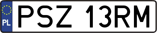 PSZ13RM