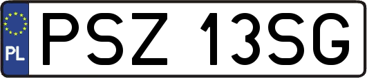 PSZ13SG