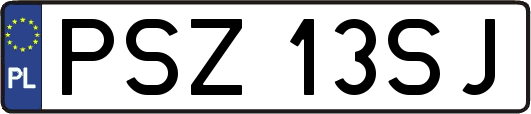 PSZ13SJ