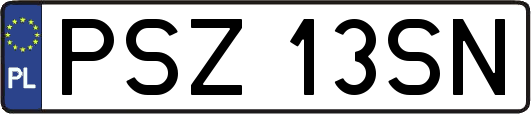 PSZ13SN