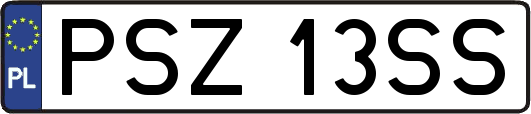 PSZ13SS